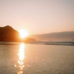 アワビに顔が！？そんな驚きの声多数！しかもカタツムリの仲間とは…